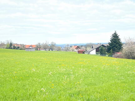 23-04-30 13-43-06 5243